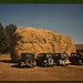 Lee Hays Photo 6
