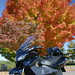 Russell Long Photo 7