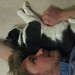 Aaron Otto Photo 5