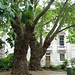 John Gresham Photo 17