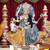 Harshad Patel Photo 51