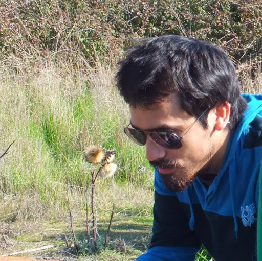 Ricardo Roman Photo 37