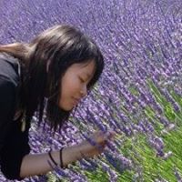Ying Lee Photo 13