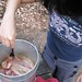 Miki Cook Photo 4