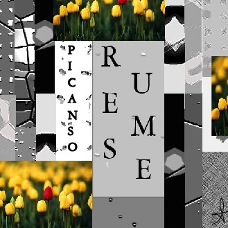 Serena Picanso Photo 3