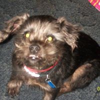 Debbie Peters Photo 21