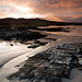 Dawn Devlin Photo 9