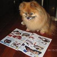 Angel Bobo Photo 14