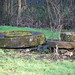Artie Moore Photo 7