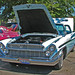 Sue Dowell Photo 8