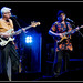 Nick Palacios Photo 9