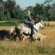 Lorrie Fox Photo 22