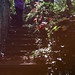 Colleen Long Photo 12