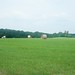Lawrence Hay Photo 6