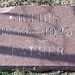 Julius Menn Photo 1