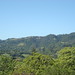Rosa Hill Photo 15