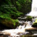 Michael Halsall Photo 10