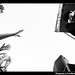 Fred Deleon Photo 8