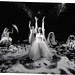 Robin Legendre Photo 7