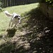 Ginger Chase Photo 3