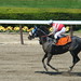 Robert Morales Photo 15