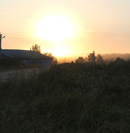 Igor Ermakov Photo 7
