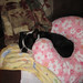 Leroy Chapman Photo 8