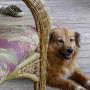 Kathy Newland Photo 21