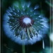 Pamela Hope Photo 14