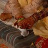 Rashmi Yadav Photo 21