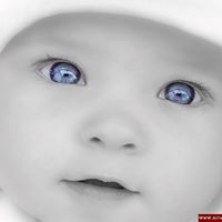 Samuel Soliman Photo 19