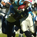 Stephen Davis Photo 4