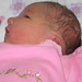 Ann Becker Photo 10