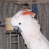 Margaret Harris Photo 15