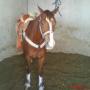 Jorge Mier Photo 16