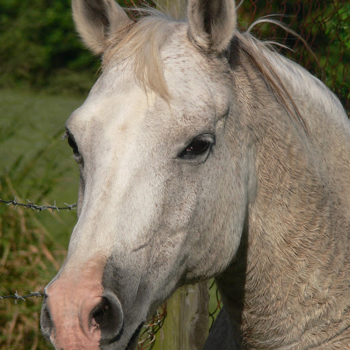 Jean Herbaly Photo 3