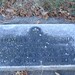 Thomas Mcmanus Photo 12