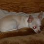 Casey Potts Photo 10