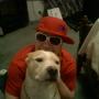 Robert Armour Photo 20
