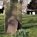 Martin Kolbe Photo 1