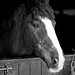 Dennis Stabler Photo 8