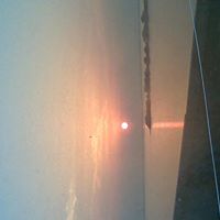 Abdul Mohamed Photo 8