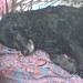 Timmy Bean Photo 9