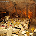 Shaun Cave Photo 9