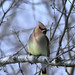 David Menke Photo 15