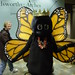 Frederick Bloom Photo 11