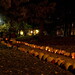 James Howe Photo 21