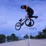 Austin Lee Photo 34