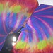 Steve Sava Photo 9