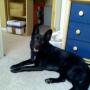 Steven Medeiros Photo 27
